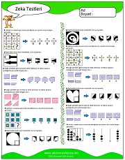 Zeka Gelişim Testleri